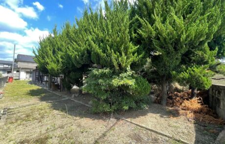 福山市神辺町湯野古屋付き土地 (17)