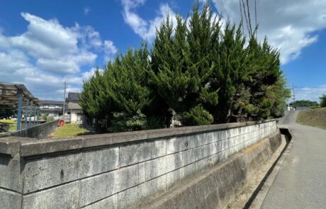福山市神辺町湯野古屋付き土地 (10)